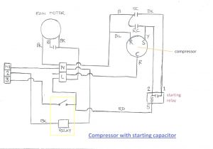 Compressor Wiring Diagram Single Phase Refrigeration Wiring Diagrams Starter Box Wiring Diagram Fascinating