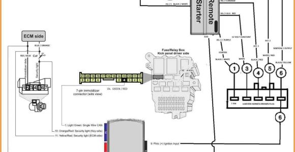 Compustar Remote Start Wiring Diagram Excalibur Keyless Entry Wiring Diagram Use Wiring Diagram
