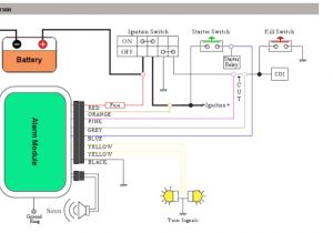 Compustar Remote Start Wiring Diagram General Remote Starter Diagram Wiring Diagram