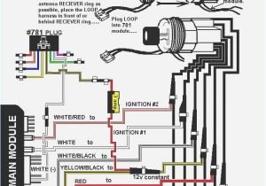 Compustar Remote Start Wiring Diagram Smart Start Wiring Diagram Wiring Diagram Technic Compustar Remote Start Wiring Diagram Smart Start Wiring Diagram Wiring Diagram Technic