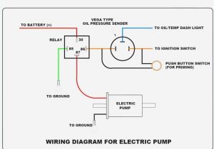 Condensate Pump Wiring Diagram Little Giant Wiring Diagram Wiring Diagram Local Condensate Pump Wiring Diagram Little Giant Wiring Diagram Wiring Diagram Local