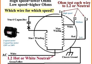 Condenser Fan Motor Wiring Diagram 110 Vac Fan Motor Diagram Blog Wiring Diagram