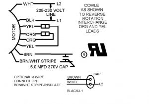 Condenser Fan Motor Wiring Diagram 4 Wire Motor Diagram Wiring Diagram Files