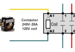 Contactor Wiring Diagram A1 A2 120 Volt Contactor Wiring Wiring Diagram Show Contactor Wiring Diagram A1 A2 120 Volt Contactor Wiring Wiring Diagram Show