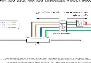 Convert Fluorescent to Led Wiring Diagram How to Wire A Fluorescent Light Fixture Ballast Fluorescent Light Convert Fluorescent to Led Wiring Diagram How to Wire A Fluorescent Light Fixture Ballast Fluorescent Light