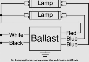 Convert Fluorescent to Led Wiring Diagram Led Tube Wiring Wiring Diagram Database