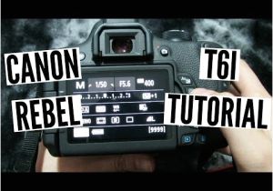 Conveyor Pull Cord Switch Wiring Diagram Conveyor Pull Cord Switch Wiring Diagram Manuals and Conveyor Pull Cord Switch Wiring Diagram Conveyor Pull Cord Switch Wiring Diagram Manuals and