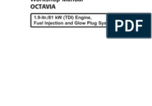 Cool Start Rs4 G5 Wiring Diagram Manual Skoda Octavia 1 9 81kw Throttle Fuel Injection