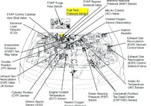 Coolant Temperature Sensor Wiring Diagram 91 Eg Civic Engine Wiring Harness Diagram Furthermore 1996 Honda