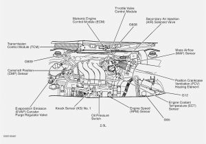 Coolant Temperature Sensor Wiring Diagram Manual Engine Schematics Blog Wiring Diagram