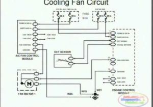 Cooling Fan Relay Wiring Diagram Kenworth W900 Engine Diagram Fan Wiring Diagram Expert Cooling Fan Relay Wiring Diagram Kenworth W900 Engine Diagram Fan Wiring Diagram Expert