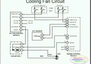 Cooling Fan Relay Wiring Diagram Kenworth W900 Engine Diagram Fan Wiring Diagram Expert
