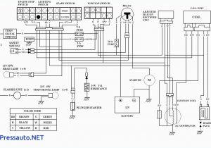 Coolster 110 atv Wiring Diagram 21v21d 3 Way Switch Wiring Zongshen 110 atv Wire Diagram Hd