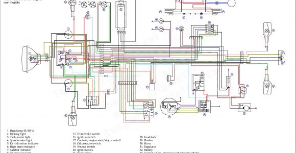 Coolster atv Wiring Diagram Qiye 150cc Engine Diagram Wiring Diagram