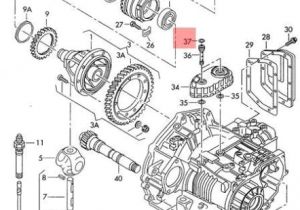 Corrado Wiring Diagram Genuine O Ring Vw Beetle Corrado Eurovan Golf R32 Gti Rabbit Jetta Corrado Wiring Diagram Genuine O Ring Vw Beetle Corrado Eurovan Golf R32 Gti Rabbit Jetta