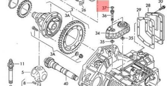 Corrado Wiring Diagram Genuine O Ring Vw Beetle Corrado Eurovan Golf R32 Gti Rabbit Jetta