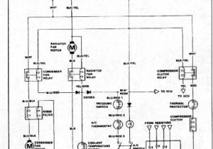 Crx Wiring Diagram Honda Ac Wiring Diagram Wiring Diagram