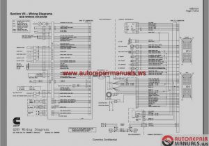 Cummins Ecm Wiring Diagram Cummins isb Ecu Wiring Diagram Wiring Diagram