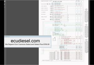 Cummins Ecm Wiring Diagram Cummins isb Ecu Wiring Diagram Wiring Diagram
