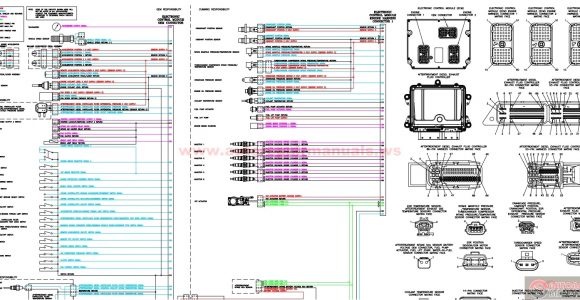 Cummins ism Ecm Wiring Diagram Cummins ism Ecm Wiring Diagram