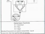 Cummins isx15 Ecm Wiring Diagram 2008 Freightliner Wiring Diagram Wiring Diagram Center