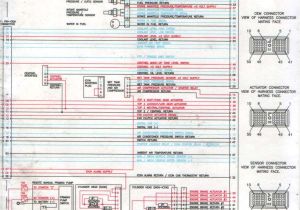 Cummins isx15 Ecm Wiring Diagram Cummins Wiring Diagram Wiring Diagram Centre