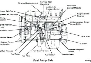 Cummins Jake Brake Wiring Diagram ism Wiring Diagram Wiring Diagram Basic Cummins Jake Brake Wiring Diagram ism Wiring Diagram Wiring Diagram Basic