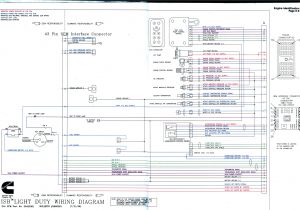 Cummins N14 Celect Plus Wiring Diagram Ecm Wire Diagram Wiring Diagram