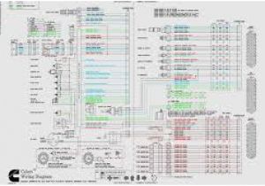 Cummins N14 Celect Plus Wiring Diagram Peterbilt Sel Engines Diagram Downloaddescargar Com