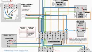 Cylinder Stat Wiring Diagram Wards thermostat Wiring Diagram Use Wiring Diagram