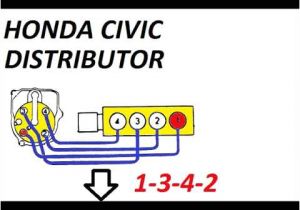 D16z6 Distributor Wiring Diagram 2000 Honda Civic Distributor Wiring Diagram Wiring Diagram Technic