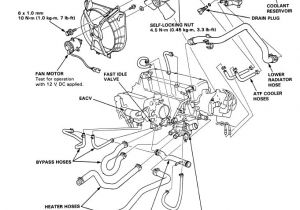 D16z6 Distributor Wiring Diagram D15b7 Engine Diagram Wiring Diagram Expert
