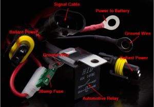 D1s Wiring Diagram Hid Relay Wiring Diagram Wiring Diagram toolbox D1s Wiring Diagram Hid Relay Wiring Diagram Wiring Diagram toolbox