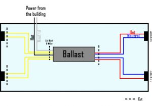 Dali Ballast Wiring Diagram Pdf Electronic Ballast Wiring Diagram Wiring Diagram Paper