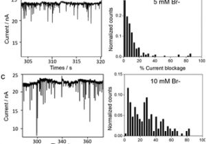 Damega Light Bar Wiring Diagram Observing Transient Bipolar Electrochemical Coupling On Single