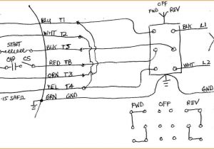 Dayton 1 2 Hp Motor Wiring Diagram Electric Motor Wiring Diagram 7 Wire Wiring Diagram Dayton 1 2 Hp Motor Wiring Diagram Electric Motor Wiring Diagram 7 Wire Wiring Diagram