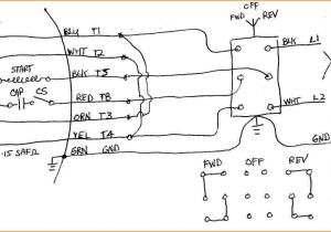 Dayton 1 2 Hp Motor Wiring Diagram Electric Motor Wiring Diagram 7 Wire Wiring Diagram