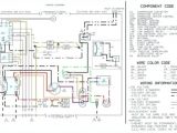 Dayton 6a855 Wiring Diagram with Hoist Contactor Wiring Diagram Brandforesight Co Dayton 6a855 Wiring Diagram with Hoist Contactor Wiring Diagram Brandforesight Co