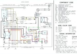 Dayton 6a855 Wiring Diagram with Hoist Contactor Wiring Diagram Brandforesight Co Dayton 6a855 Wiring Diagram with Hoist Contactor Wiring Diagram Brandforesight Co