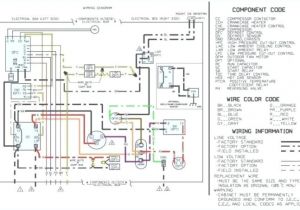 Dayton 6a855 Wiring Diagram with Hoist Contactor Wiring Diagram Brandforesight Co