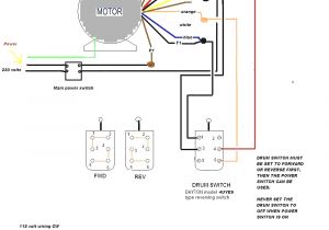 Dayton Capacitor Start Motor Wiring Diagram 1 2 Hp Electric Motor Wiring Diagram Wiring Diagram Technic