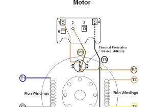 Dayton Capacitor Start Motor Wiring Diagram Dayton Capacitor Start Motor Wiring Diagram Fresh Wiring Diagram for