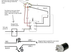 Dayton Dc Speed Control Wiring Diagram Xx 2312 Split Phase Motor Schematic Wiring Diagram Dayton Dc Speed Control Wiring Diagram Xx 2312 Split Phase Motor Schematic Wiring Diagram