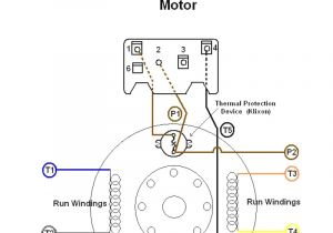 Dayton Drum Switch Wiring Diagram Dayton 2×440 Drum Switch Wiring Diagram