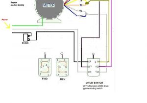 Dayton Drum Switch Wiring Diagram Dayton 3e438a Wiring Diagram