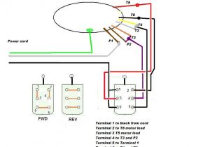Dayton Drum Switch Wiring Diagram Diagram Dayton Drum Switch Wiring Diagram Full Version