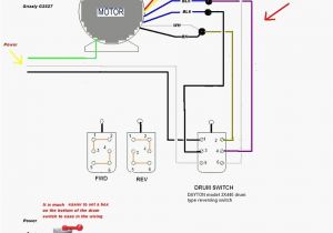 Dayton Electric Motors Wiring Diagram 1 Hp Motor Wiring Diagram Wiring Diagram Basic
