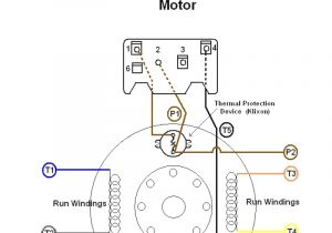 Dayton Electric Motors Wiring Diagram Dayton Electric Motor Diagram 1 Wiring Diagram source