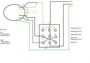 Dayton Electric Motors Wiring Diagram Dayton Electric Motor Wiring Schematics Wiring Diagram G9
