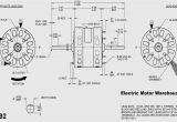 Dayton Electric Motors Wiring Diagram Dayton Gear Motor Wiring Diagram Wiring Diagrams